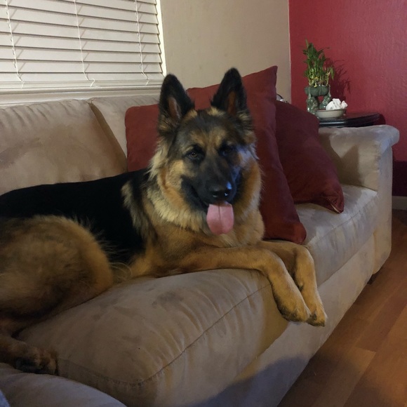 Meet your Posher, Juan carlos - Picture 1 of 1